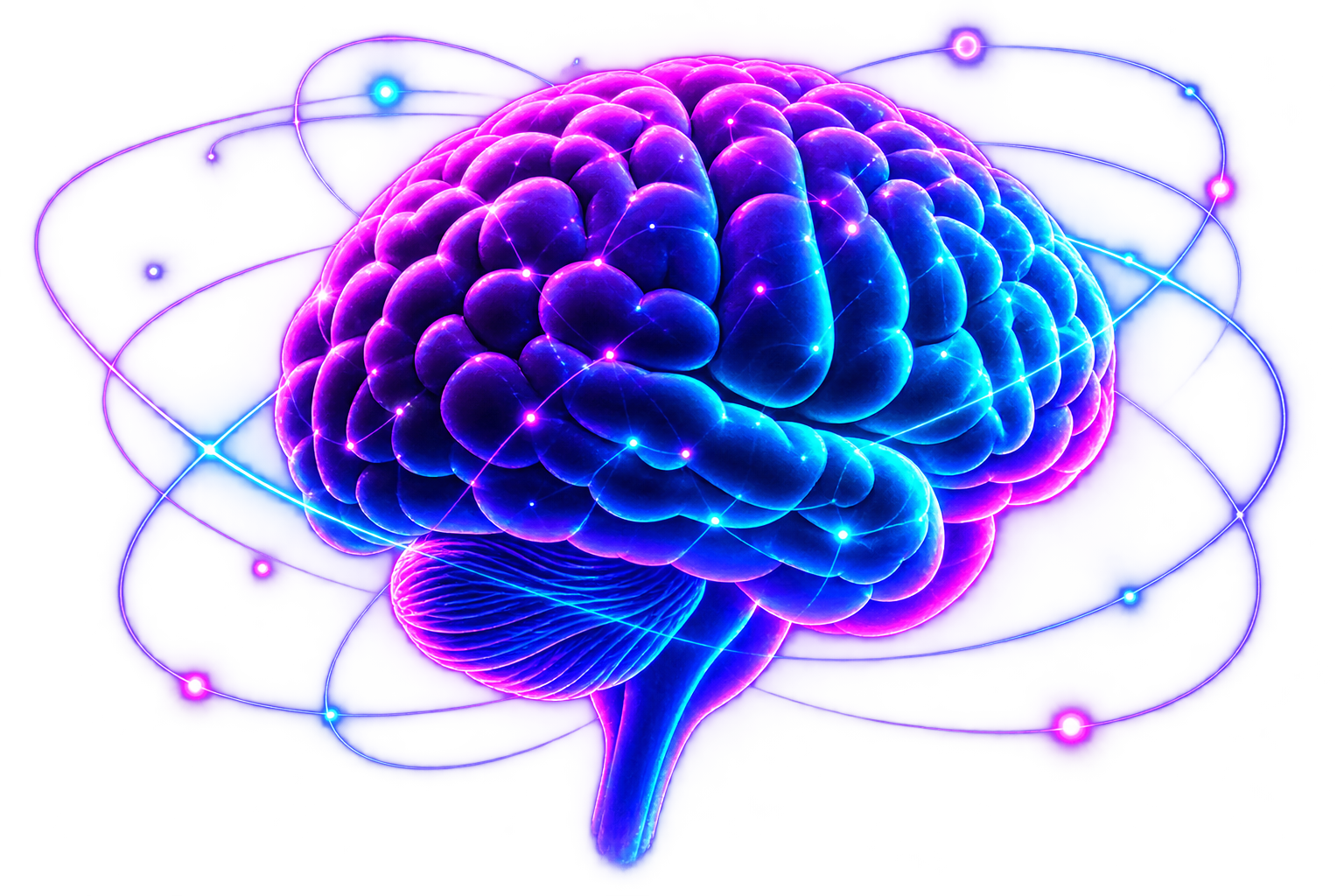 BrainByt 3D Brain